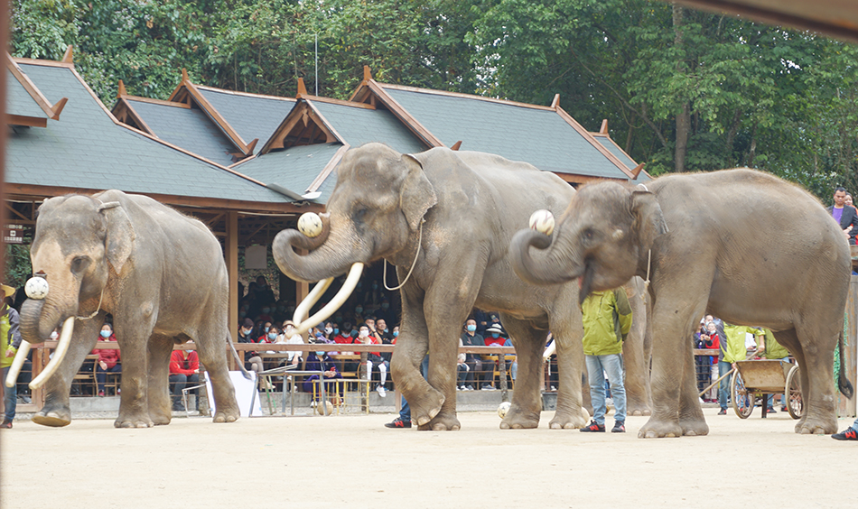 每一场旅行都将是成长的回忆(images 6)