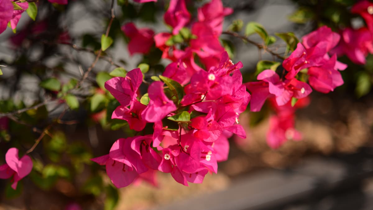 褪去班味，蓄力前行 | PTI 派捷佛灵湖团建活动圆满落幕（images 8）
